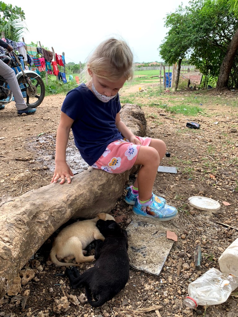 Caleigh loves the animals